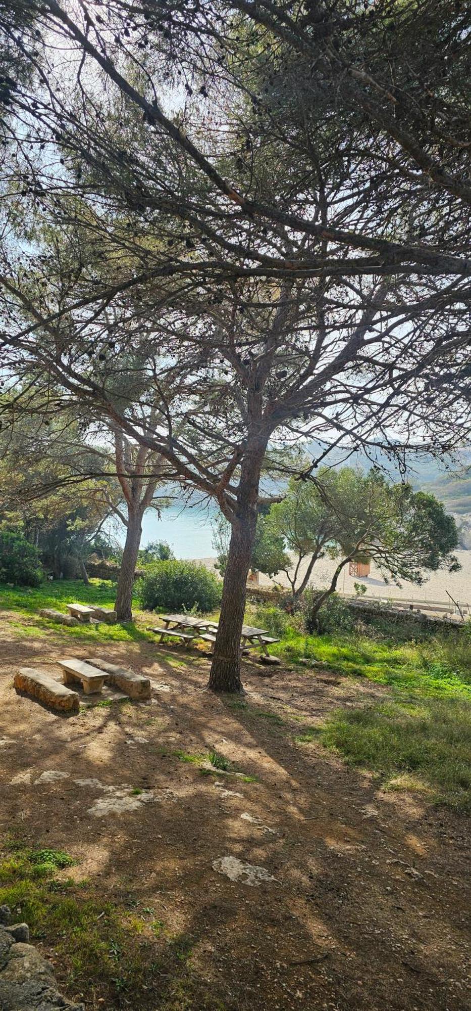 Casa Domingos Cales De Mallorca Eksteriør billede